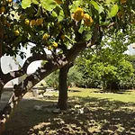 Vecchia Alimini 招待所 4*