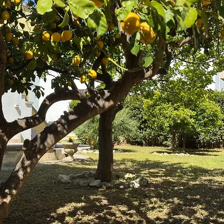 Vecchia Alimini Casa de hóspedes 4*