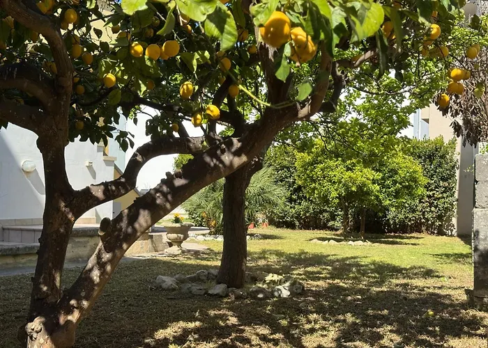 Vecchia Alimini Gasthuis 4*